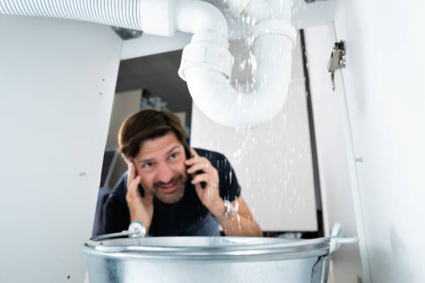 Best Sewer Line Repair  in Seward, NE